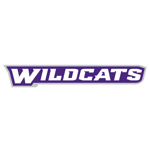 Abilene Christian Wildcats 2013-Pres Wordmark Logo1 T-shirts Iro - Click Image to Close